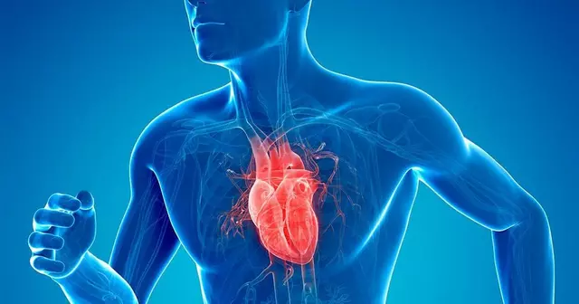 The Connection Between Stress and Heart Rhythm Disorders
